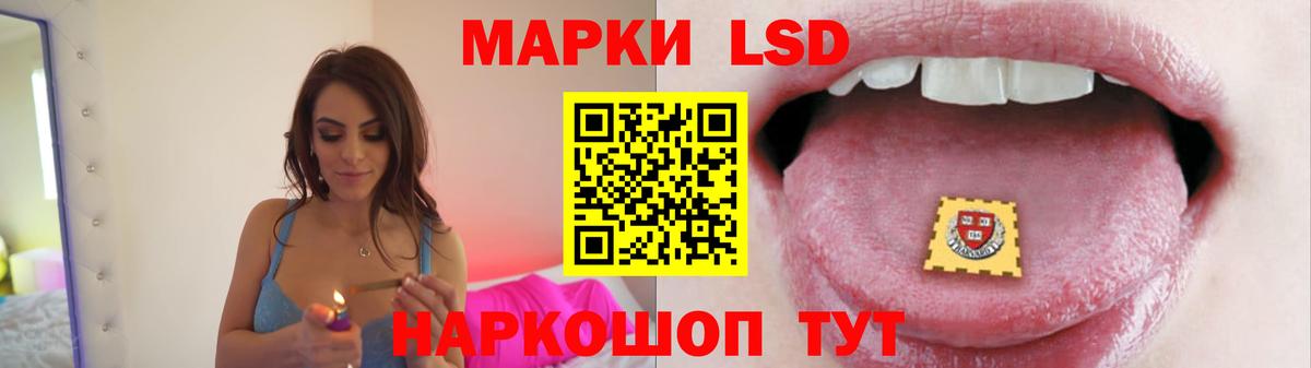 LSD-25 экстази ecstasy  ЛСД экстази ecstasy  Вход с VPN  Шали 