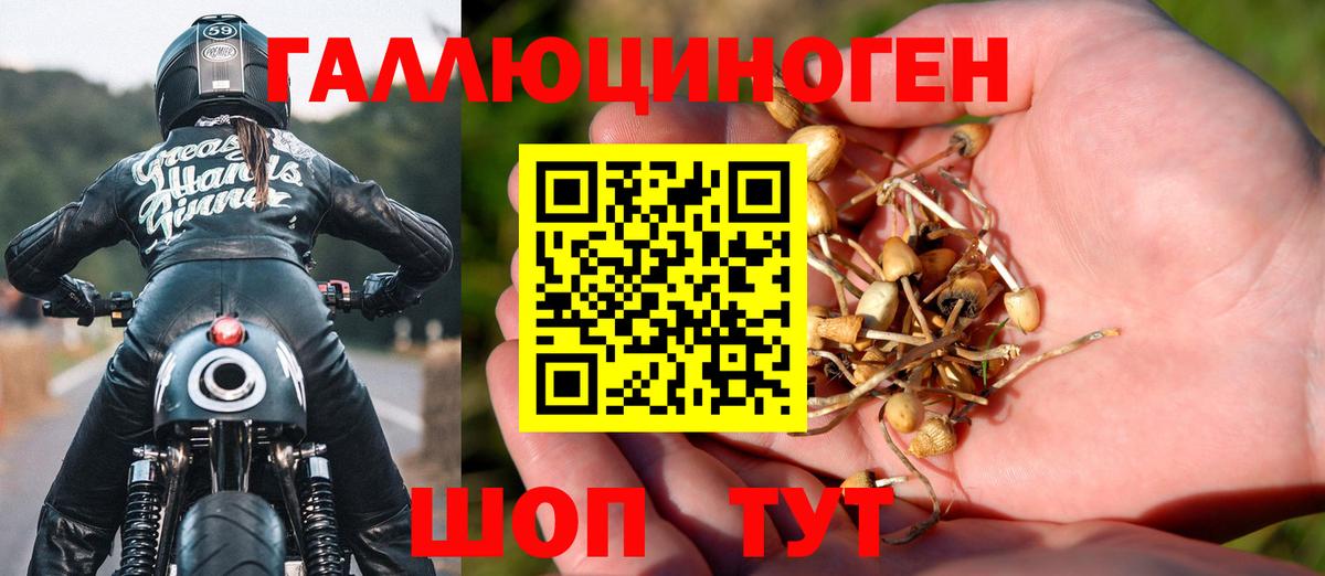 Галлюциногенные грибы ЛСД Шали