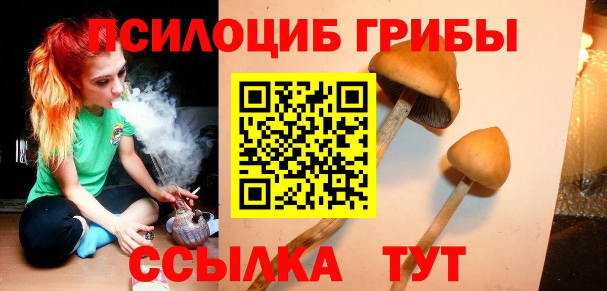 Псилоцибиновые грибы Cubensis  купить наркоту  Вход с VPN  Шали  Галлюциногенные грибы GOLDEN TEACHER 